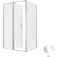 Душевой уголок Allen Brau Priority 120x80 3.31031.00 + 3.31040.00 хром