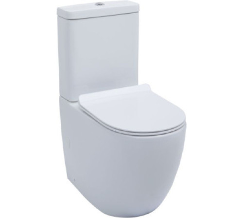 Чаша напольного унитаза Aquanet Rimless Cetus-C1 BL-102N-TPT