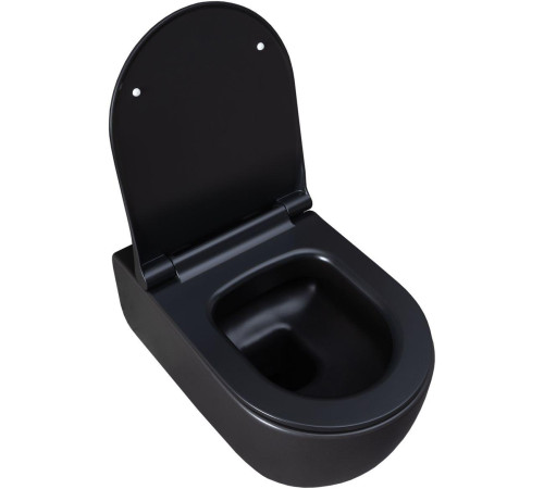 Чаша подвесного унитаза Allen Brau Priority 4.31001.31 черный матовый