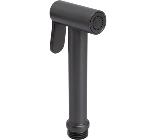 Гигиеническая лейка Allen Brau Priority 5.31028-MG графит браш