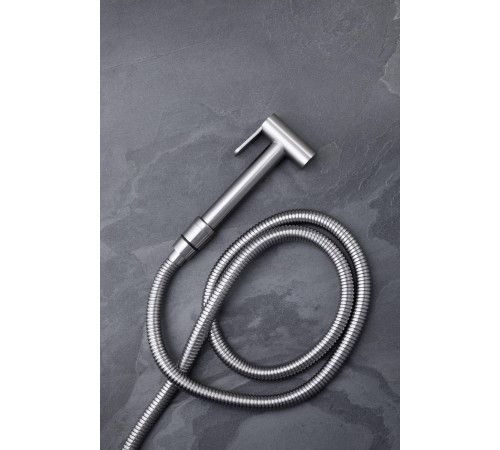 Гигиеническая лейка Allen Brau Priority 5.31028-BN никель браш