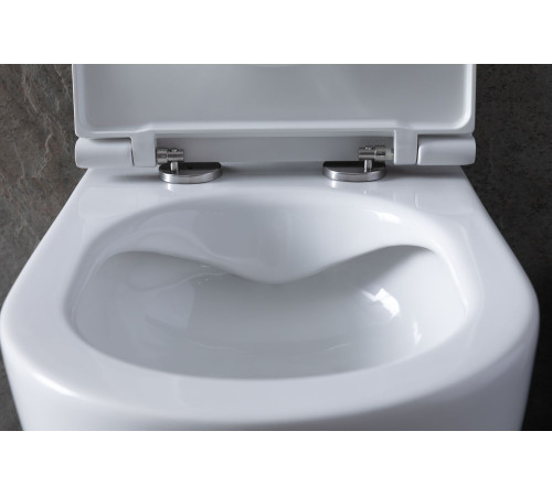 Унитаз с инсталляцией Allen Brau Reality 4.32006.20/8.9466.0.000.000.1 белый глянец