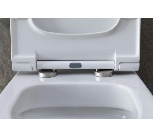 Унитаз с инсталляцией Allen Brau Priority 4.31002.20/8.9466.0.000.000.1 белый глянец