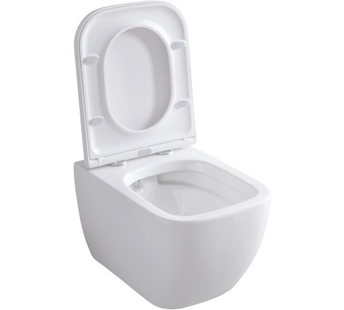 Чаша подвесного унитаза Allen Brau Infinity 4.21004.20 белый глянец