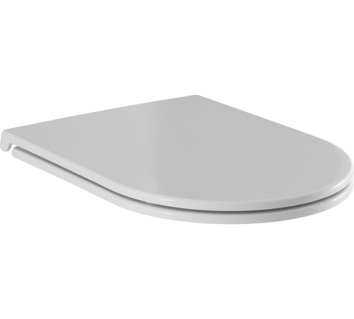 Чаша напольного унитаза Aquanet Ray-C