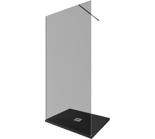 Душевая перегородка Allen Brau Infinity 1 100 3.21014.BA.T серебро браш