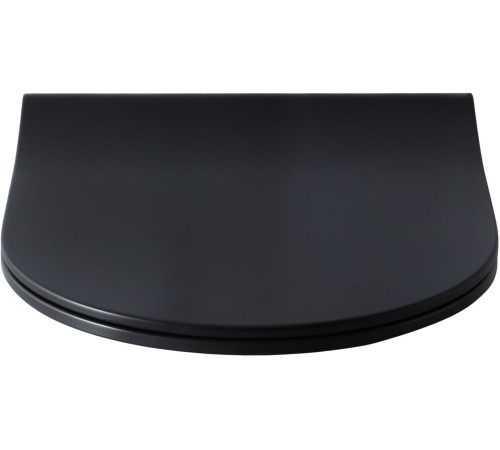 Крышка-сиденье для унитаза Allen Brau Priority 4.31004.31 черный матовый