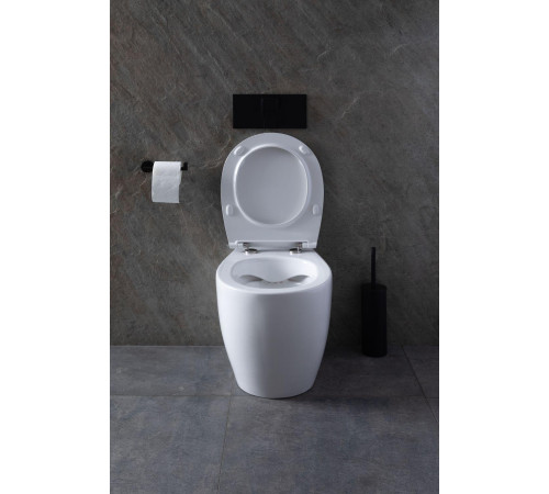 Чаша приставного унитаза Allen Brau Fantasy 4.11007.20 белый глянец