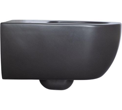Чаша подвесного унитаза Allen Brau Priority 4.31001.31 черный матовый