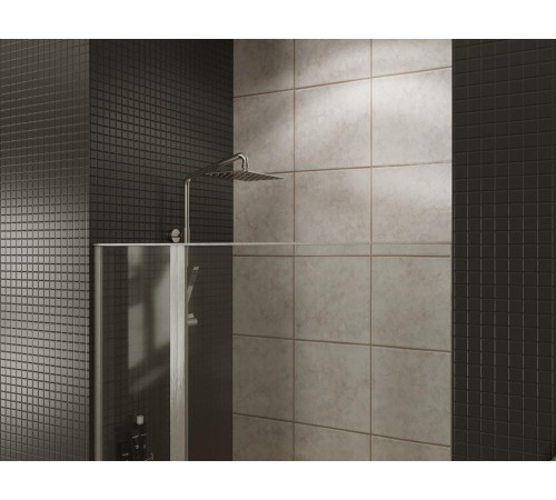 Душевая дверь Allen Brau Priority 100 3.31005.BA серебро браш