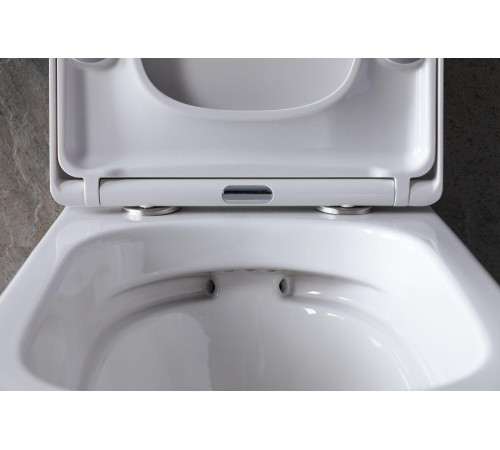 Чаша подвесного унитаза Allen Brau Liberty 4.33004.20 белый глянец