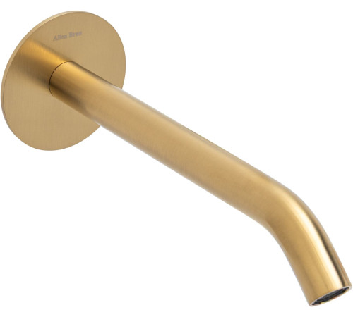 Излив Allen Brau Priority 5.31B18-GB золото