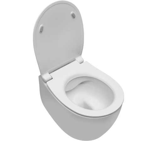 Чаша подвесного унитаза Allen Brau Fantasy 4.11004.21 белый матовый