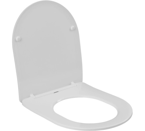 Чаша напольного унитаза Aquanet Rimless Cetus 2.0 C1 LX-2903