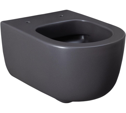 Чаша подвесного унитаза Allen Brau Priority 4.31002.AN антрацит