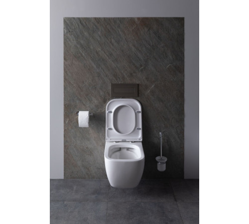 Чаша подвесного унитаза Allen Brau Infinity 4.21004.20 белый глянец