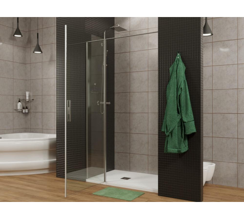 Душевая дверь Allen Brau Priority 100 3.31005.BA серебро браш