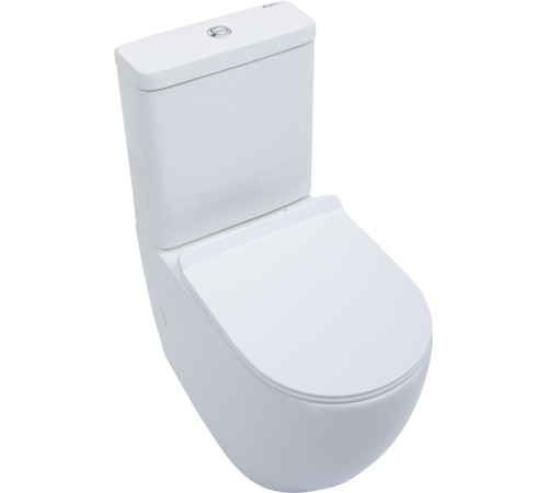 Чаша напольного унитаза Aquanet Rimless Cetus-C1 BL-102N-TPT