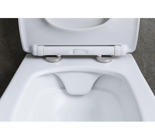 Чаша подвесного унитаза Allen Brau Liberty 4.33007.21 белый матовый