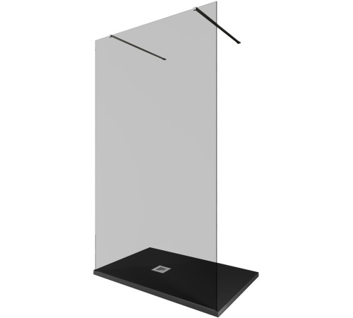 Душевая перегородка Allen Brau Infinity 2 120 3.21044.BA.T серебро браш