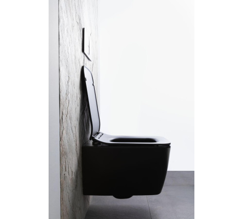 Чаша подвесного унитаза Allen Brau Liberty 4.33007.31 черный матовый