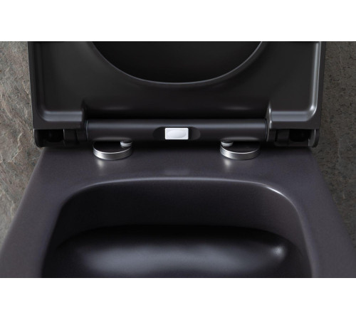 Чаша подвесного унитаза Allen Brau Priority 4.31002.AN антрацит