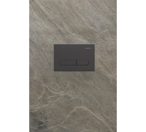 Клавиша смыва Allen Brau Project Color 9.2PR01.AN антрацит