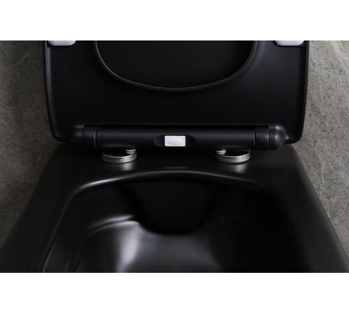 Чаша подвесного унитаза Allen Brau Liberty 4.33007.31 черный матовый