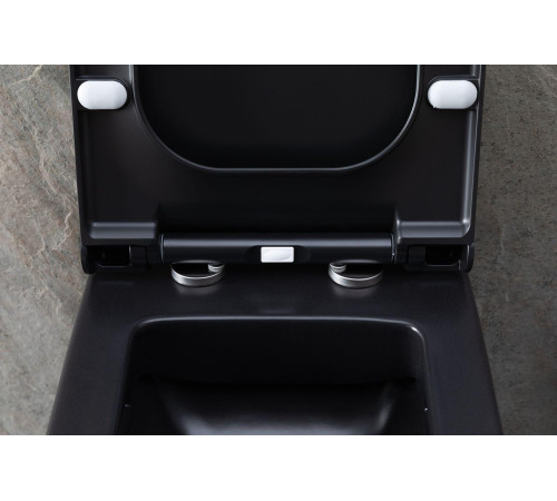 Чаша подвесного унитаза Allen Brau Infinity 4.21011.31 черный матовый