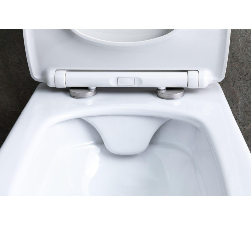 Чаша подвесного унитаза Allen Brau Liberty 4.33007.20 белый