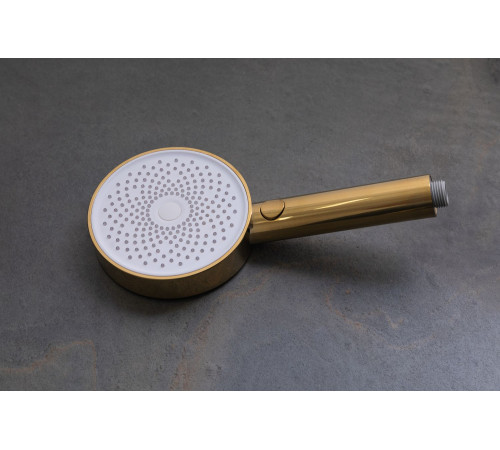 Душевая лейка Allen Brau Priority 5.31B20-GB золото