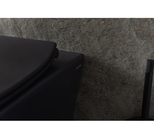 Чаша подвесного унитаза Allen Brau Reality 4.32006.31 черный матовый