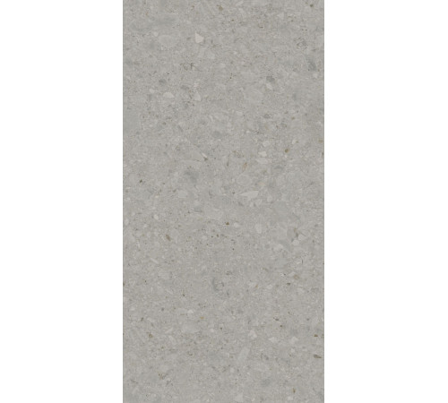 Керамогранит Чеппо ди Гре DD507820R Серый матовый 60х119.5