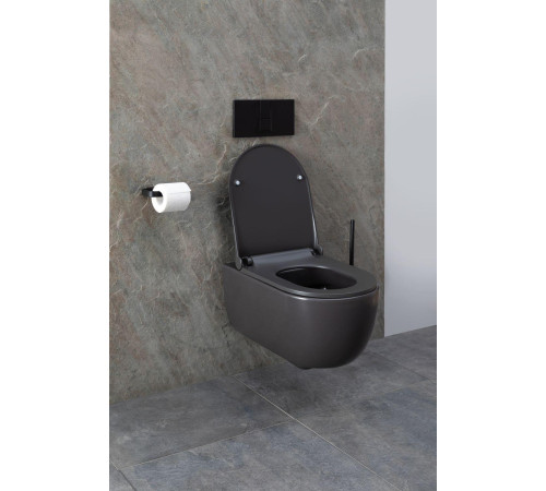 Чаша подвесного унитаза Allen Brau Priority 4.31001.AN антрацит