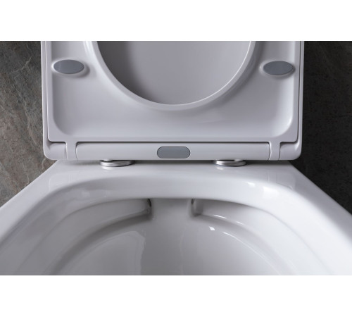 Чаша подвесного унитаза Allen Brau Infinity 4.21004.20 белый глянец