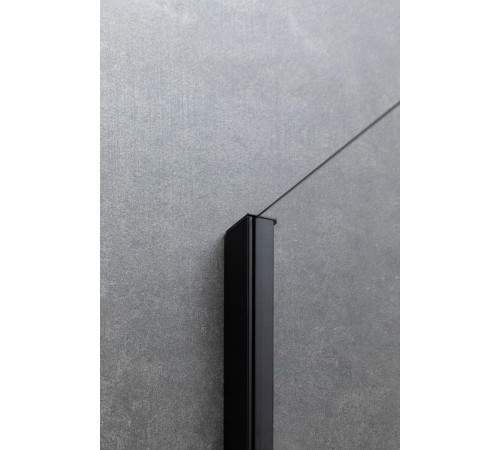 Душевой уголок Allen Brau Priority 140x80 3.31012.BBA + 3.31015.BBA черный браш