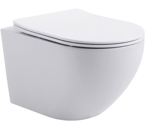 Комплект унитаза с инсталляцией Aquanet Rimless Cetus 2.0 W LX-1901 хром