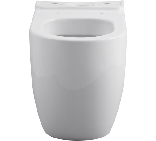 Чаша напольного унитаза Allen Brau Priority 4.31003.20 белый