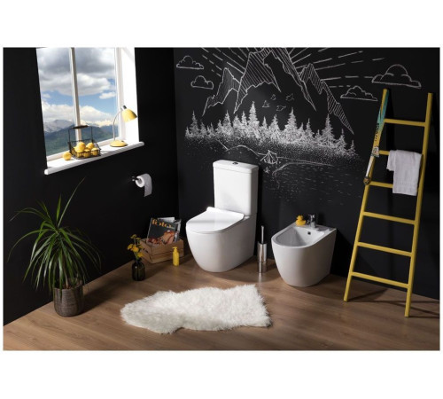 Сливной бачок Aquanet Cetus-C2 BL-102N-TPT