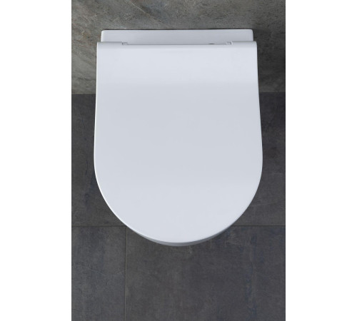 Чаша подвесного унитаза Allen Brau Priority 4.31002.20 белый глянец