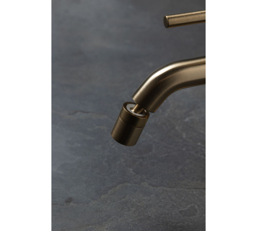 Смеситель для биде Allen Brau Priority 5.31A04-GB (с донным клапаном) золото