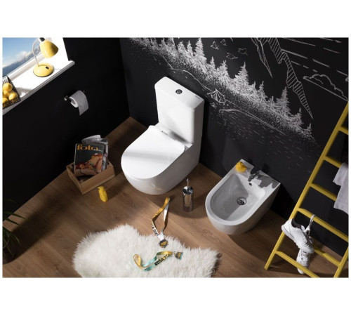 Чаша напольного унитаза Aquanet Rimless Cetus-C1 BL-102N-TPT