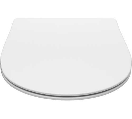 Сиденье для унитаза Allen Brau Fantasy 4.11005.21 белый матовый