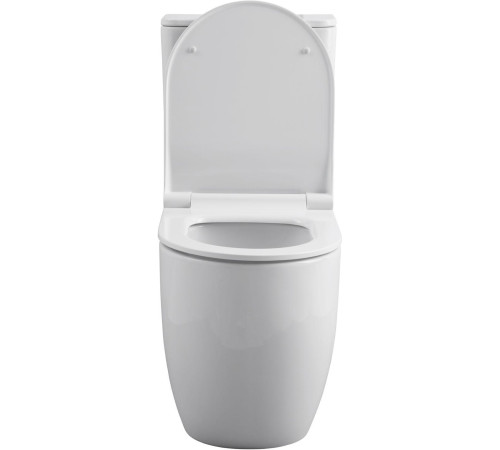 Чаша напольного унитаза Allen Brau Priority 4.31003.20 белый