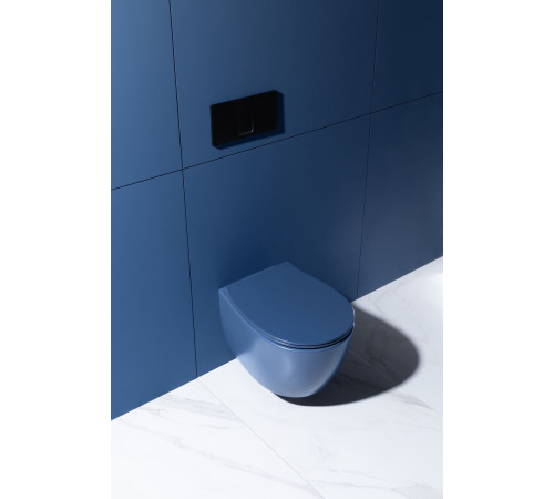 Чаша подвесного унитаза Allen Brau Fantasy 4.11004.ID индиго