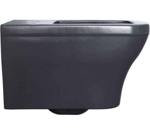 Чаша подвесного унитаза Allen Brau Infinity 4.21011.AN антрацит