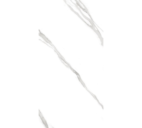 GT120606503PR Керамогранит Carrara Bronze белый полированный 60x120