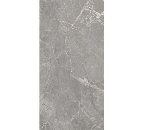 GT120608401MCR Керамогранит Magic серый карвинг матовый 60x120