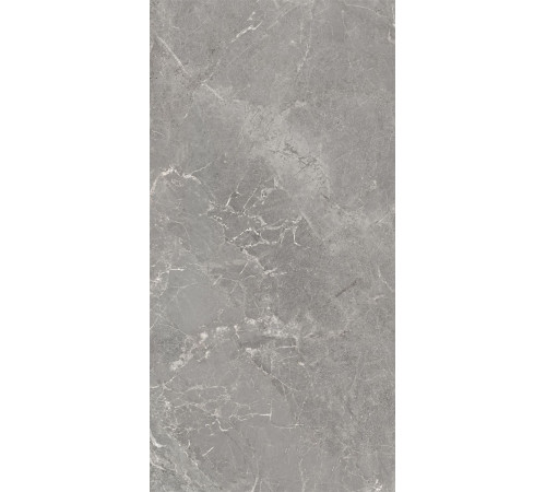 GT120608401MCR Керамогранит Magic серый карвинг матовый 60x120