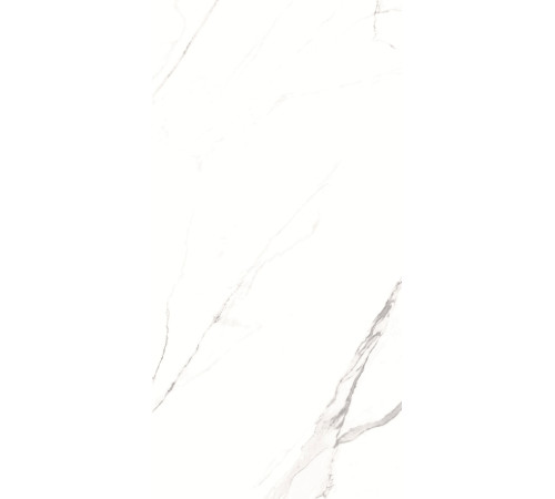 GT1206012003SPR Керамогранит Alfanzo белый лаппатированный 60x120